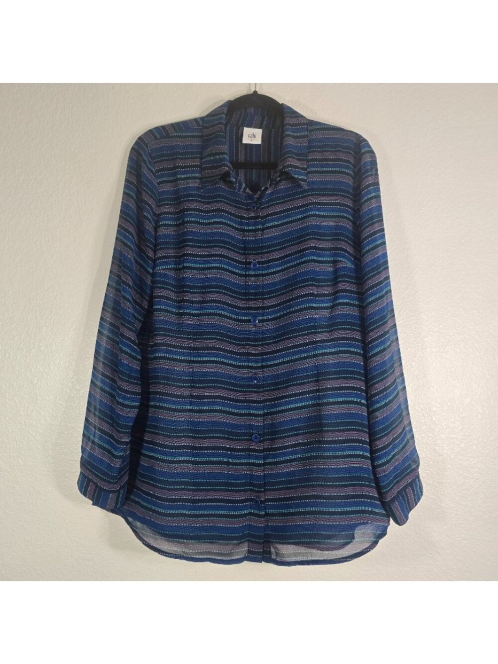 CAbi Button Down Shirt Blouse Women Medium Blue Split Back Alex Sheer Striped